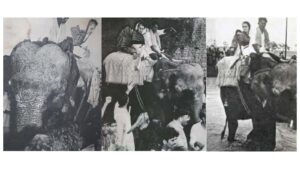Indira Gandhi, Elephant Ride, Bihar & Dalit Massacre : Story Of A Comeback