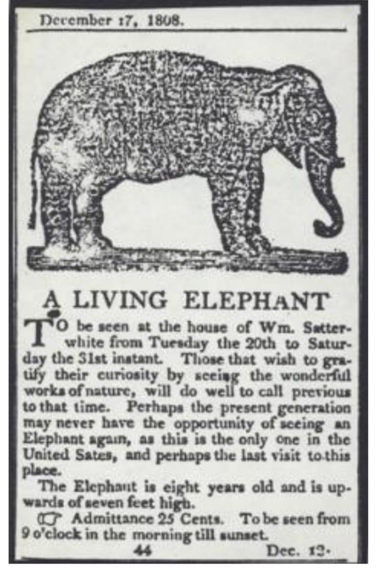 The Living Elephant Show advertisement in a local daily