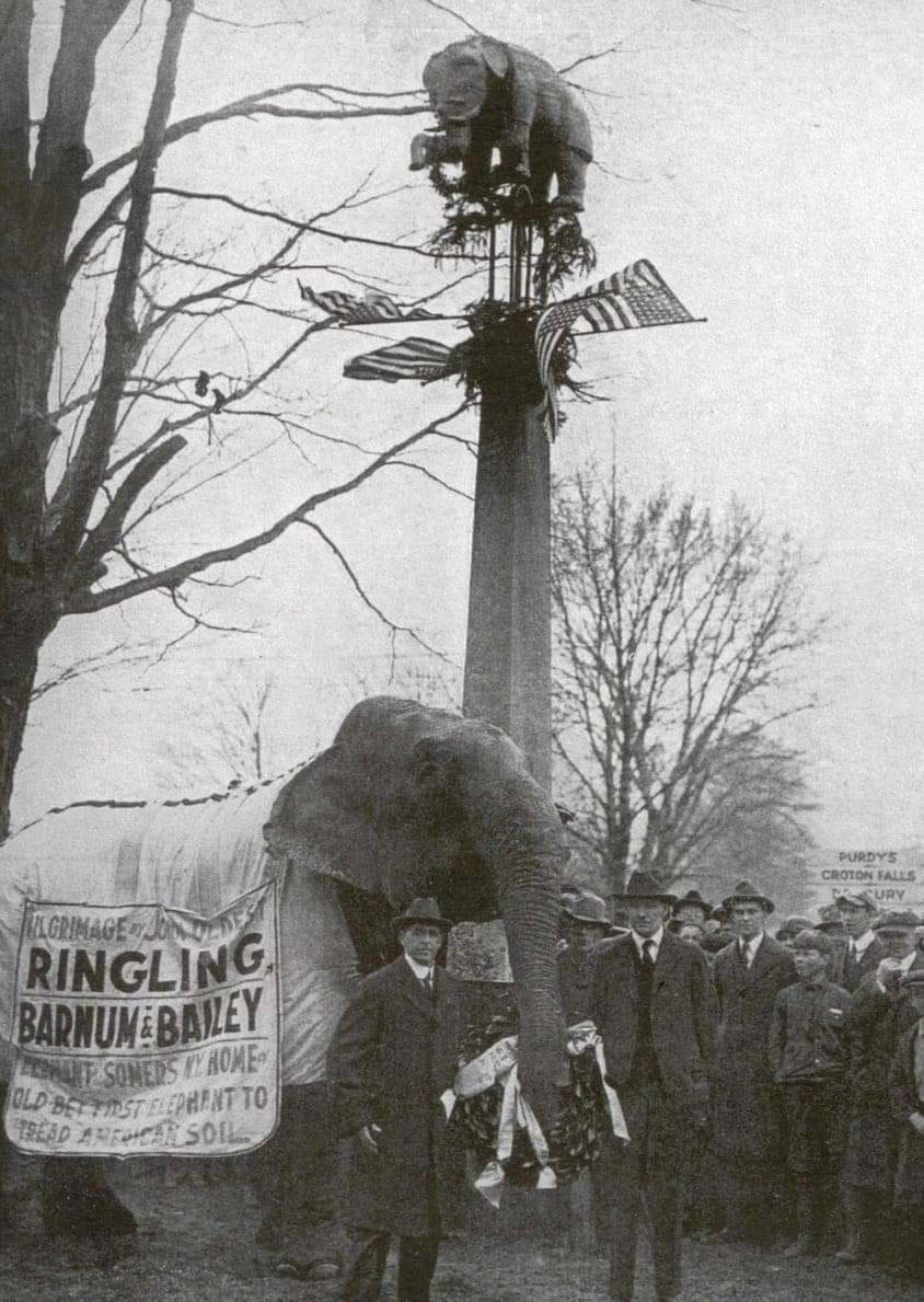 John Sullivan, the elephant, in Somers 1922 garlanding the statue of Old Bet